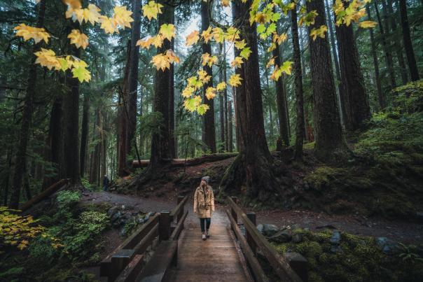 Sol Duc Falls Trail Olympic National Park