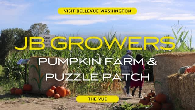 The Vue | JB Growers Pumpkin Farm & Puzzle Patch