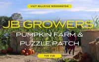 The Vue | JB Growers Pumpkin Farm & Puzzle Patch