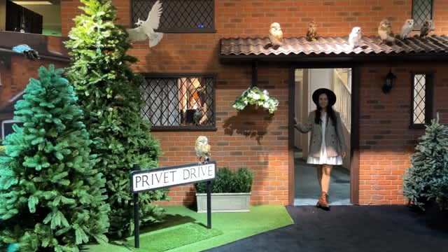 The Vue | Harry Potter: Magic at Play