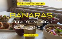 The Vue | Banaras