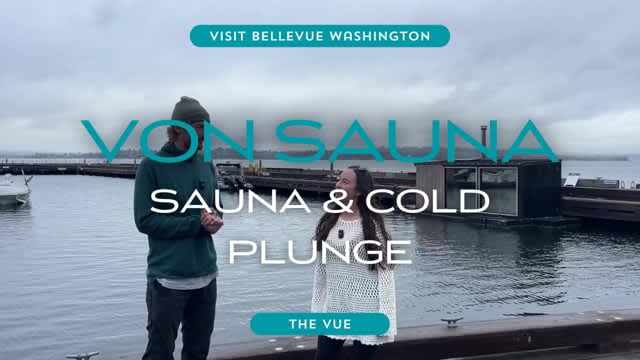 The Vue | Von Sauna