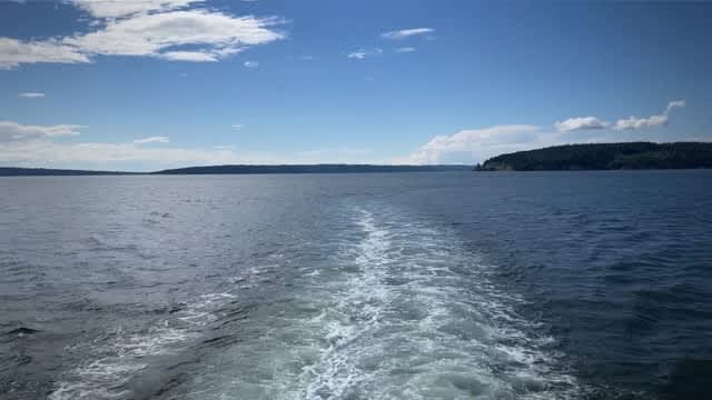 The Vue: Whale Watching With Kara