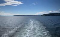 The Vue: Whale Watching With Kara