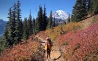 The Vue: Mt. Rainier & Naches Peak Loop Trail