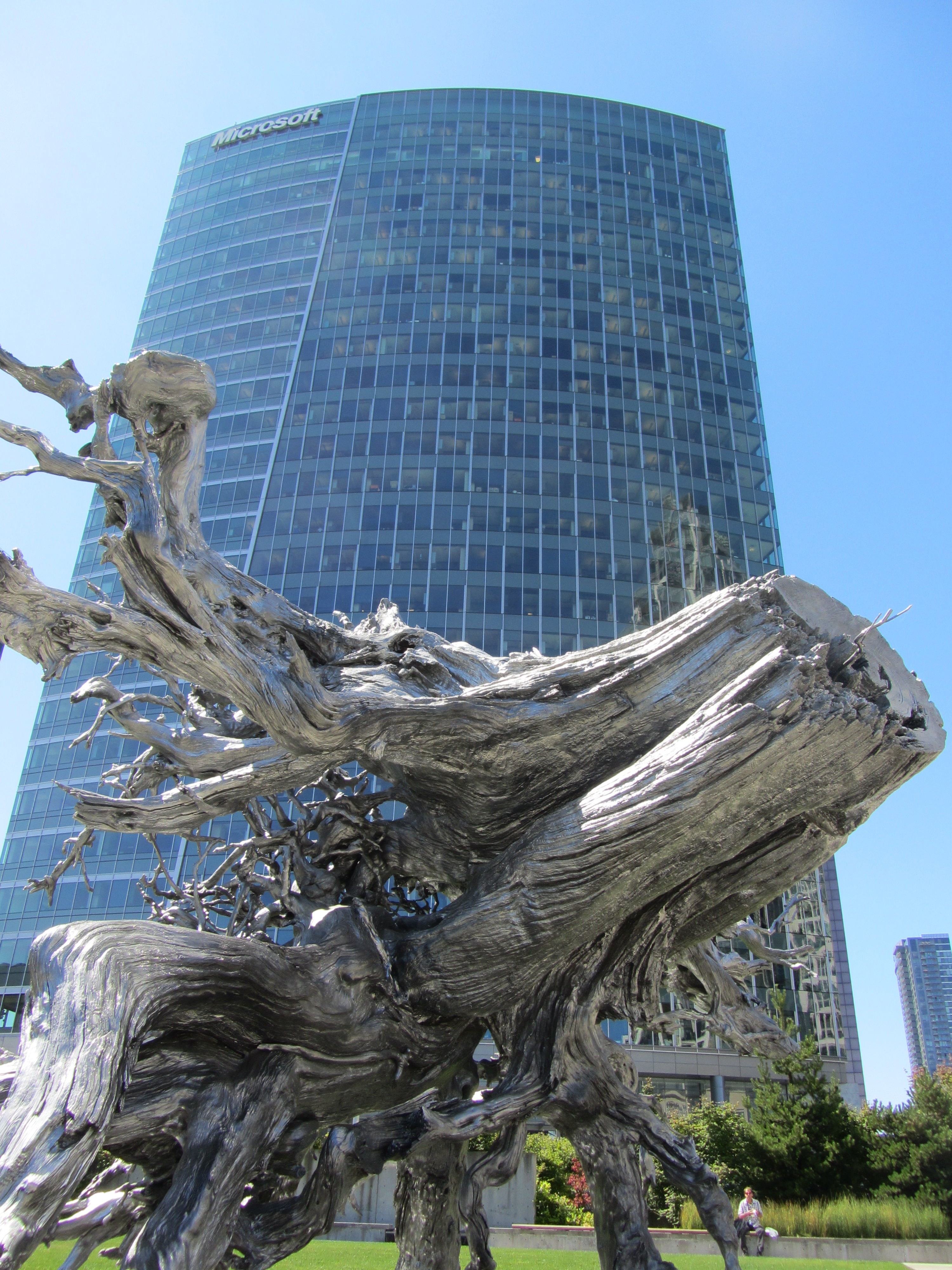 Art-Root-and-Microsoft-Building