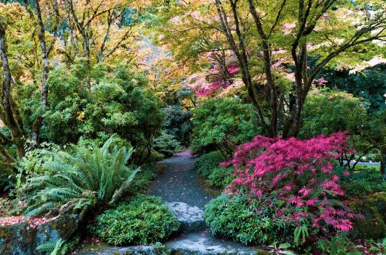 Yao Garden