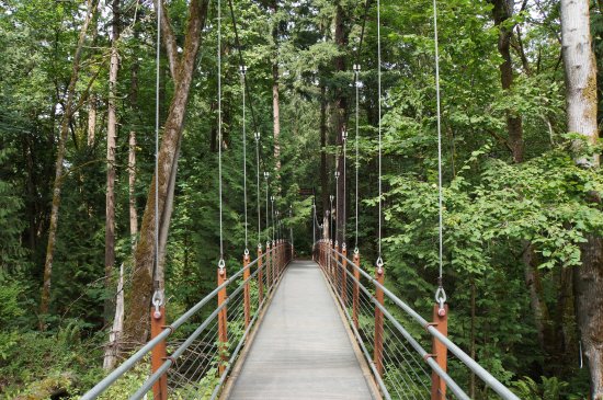 Bellevue Botanical Garden
