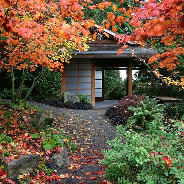 Fun things to do in Bellevue