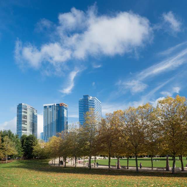 Bellevue Downtown Park Fall Trees