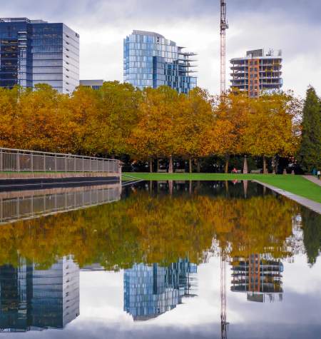 Bellevue Downtown Park Skyline and Pond