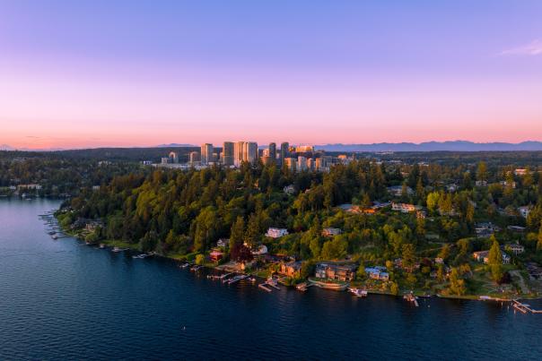 Bellevue Skyline