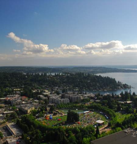 Downtown Park Aerial