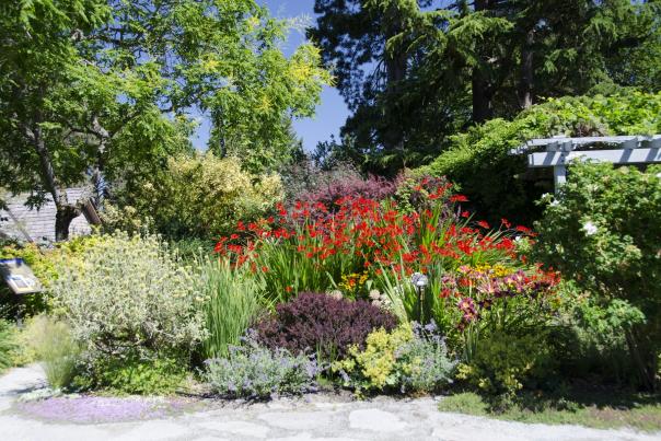 Glamorous Gardens to Visit while in Bellevue