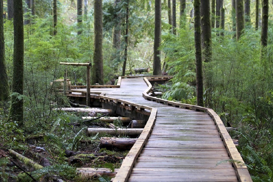 Grand Ridge Park Trail