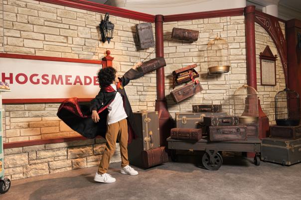 Harry Potter: Magic at Play
