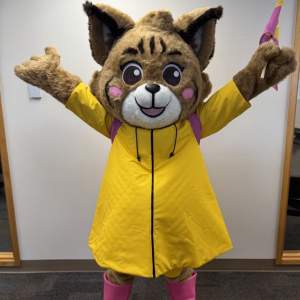 Belle The Bobcat