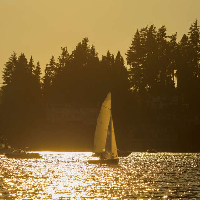 Lake Washington Sailboat