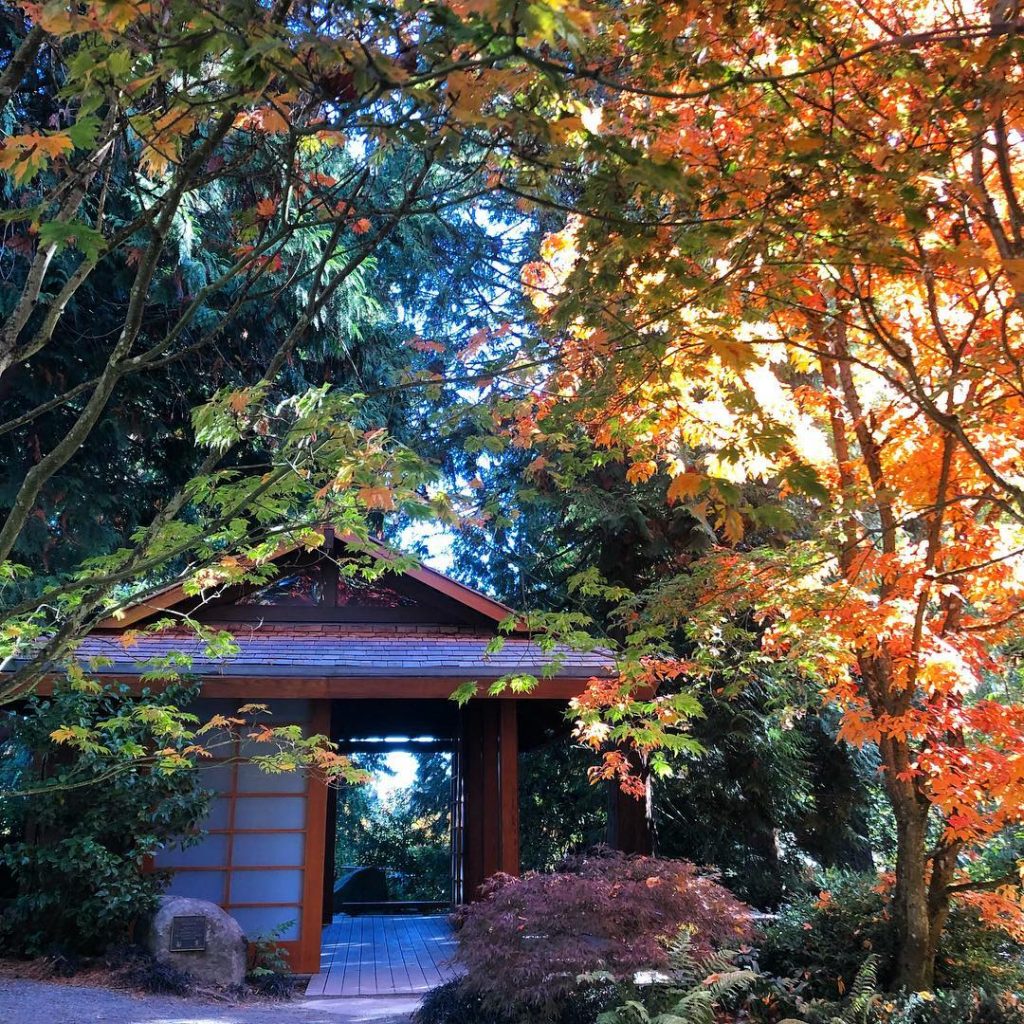 Bellevue Botanical Garden