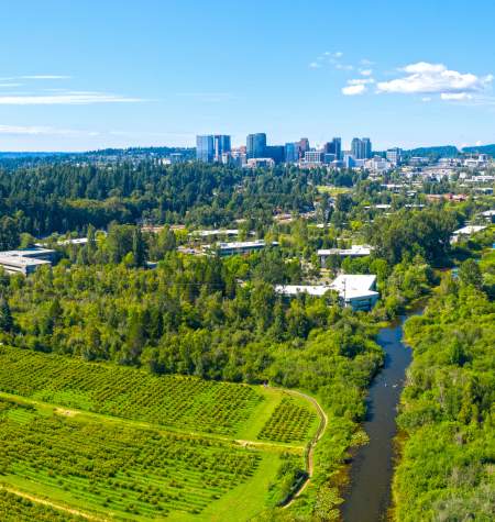 Mercer Slough