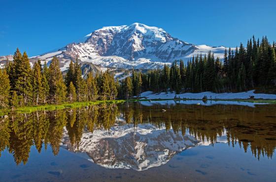 Mt Rainier