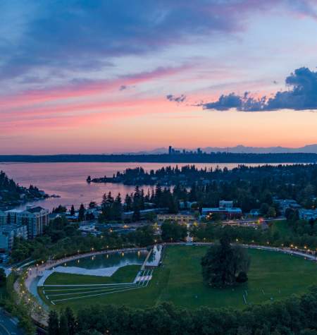 Bellevue Skyline