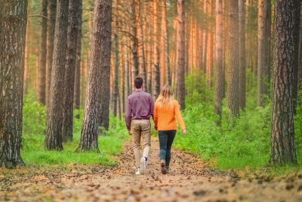 Walking Trails & Tours