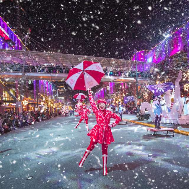 Snowflake Lane Bellevue