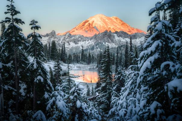 Mt. Rainier