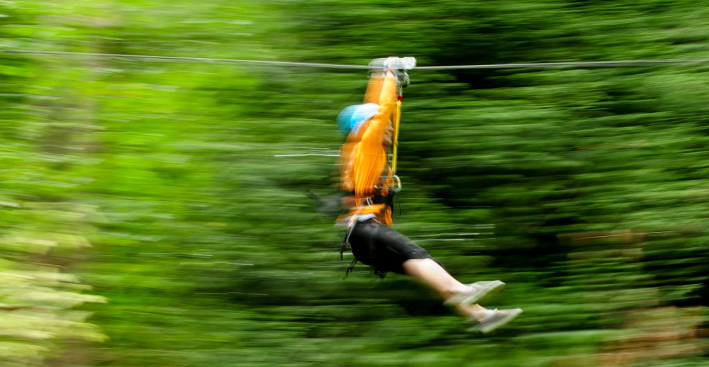Zip Tour