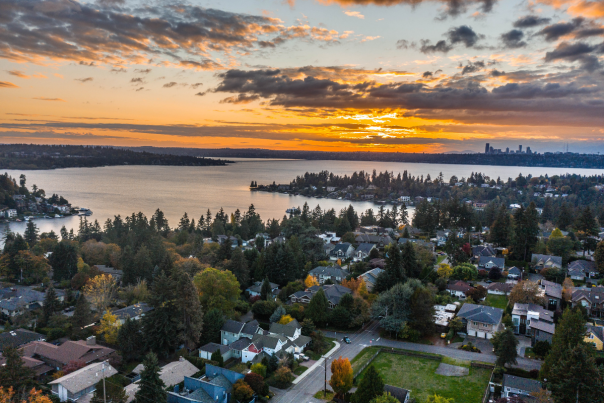Bellevue City Guide