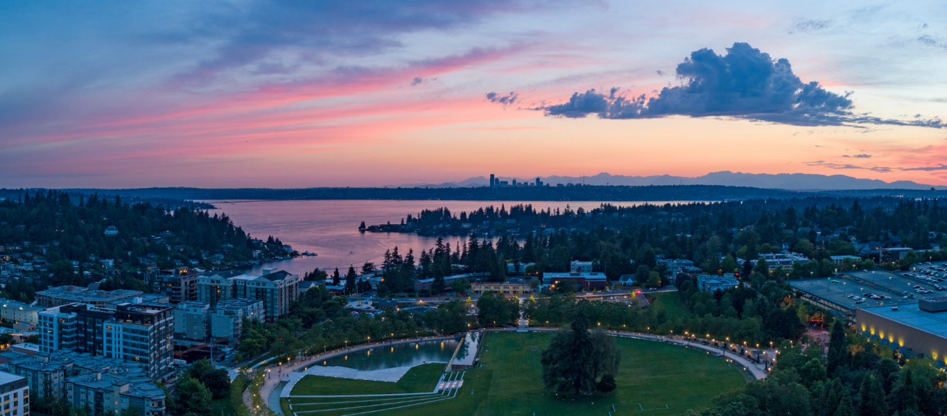 Bellevue Sky