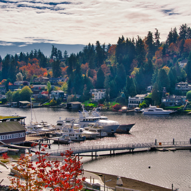 Fall in Bellevue