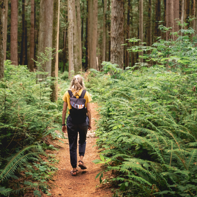 4 Unforgettable Summer Hikes Around Bellevue